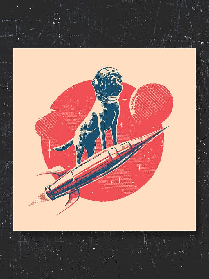 Rocket Dog product image (2)