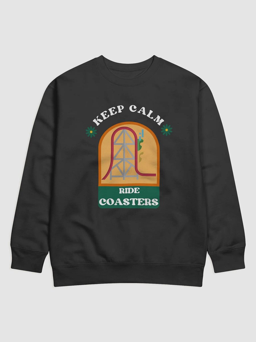 Thrill Seeker Coaster Sweatshirt product image (1)