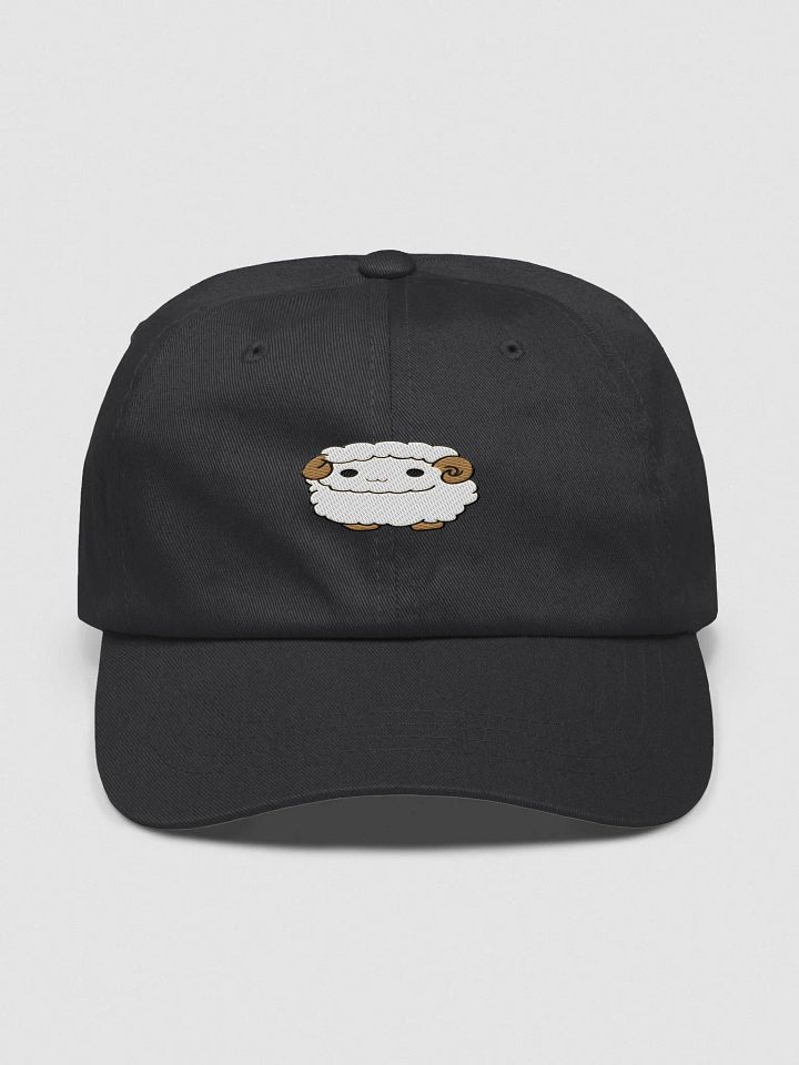 Widesheep Dad Hat product image (1)