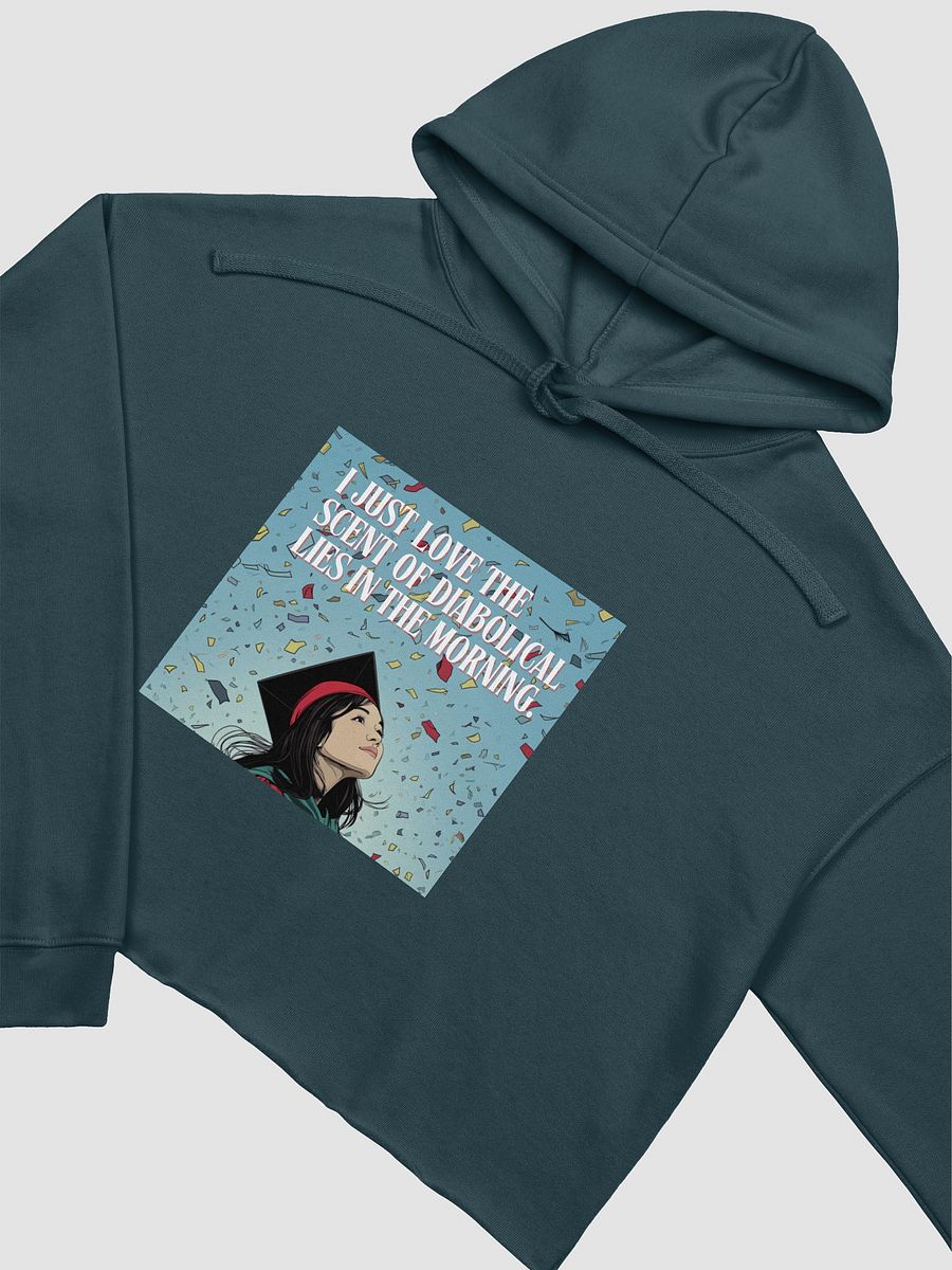 Diabolical Lies Grad 3 Cropped Hoodie product image (3)