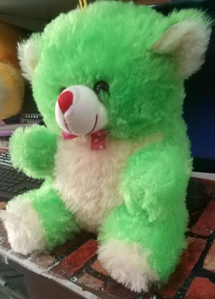TEDDY BEAR product image (2)