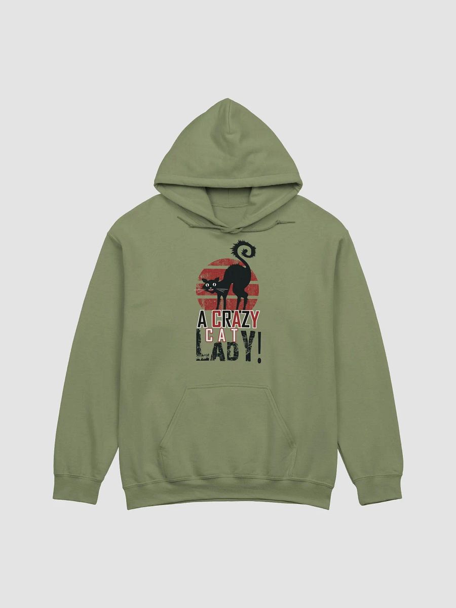 A Crazy Cat Lady product image (101)