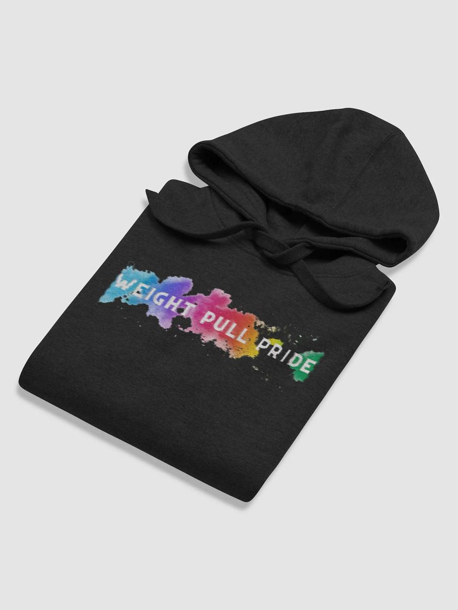 Weight Pull Pride Hoodie product image (6)