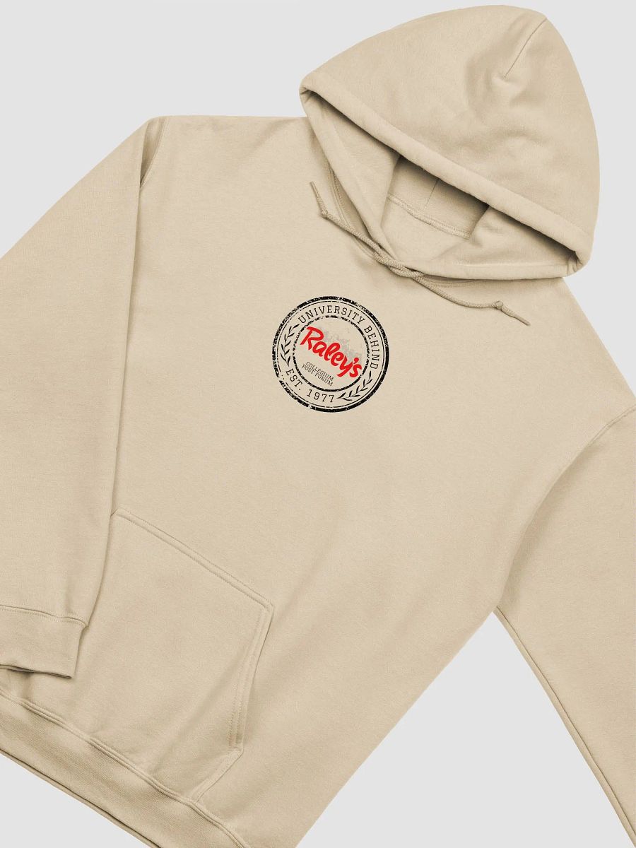 Double Sided UBR Hoodie product image (3)