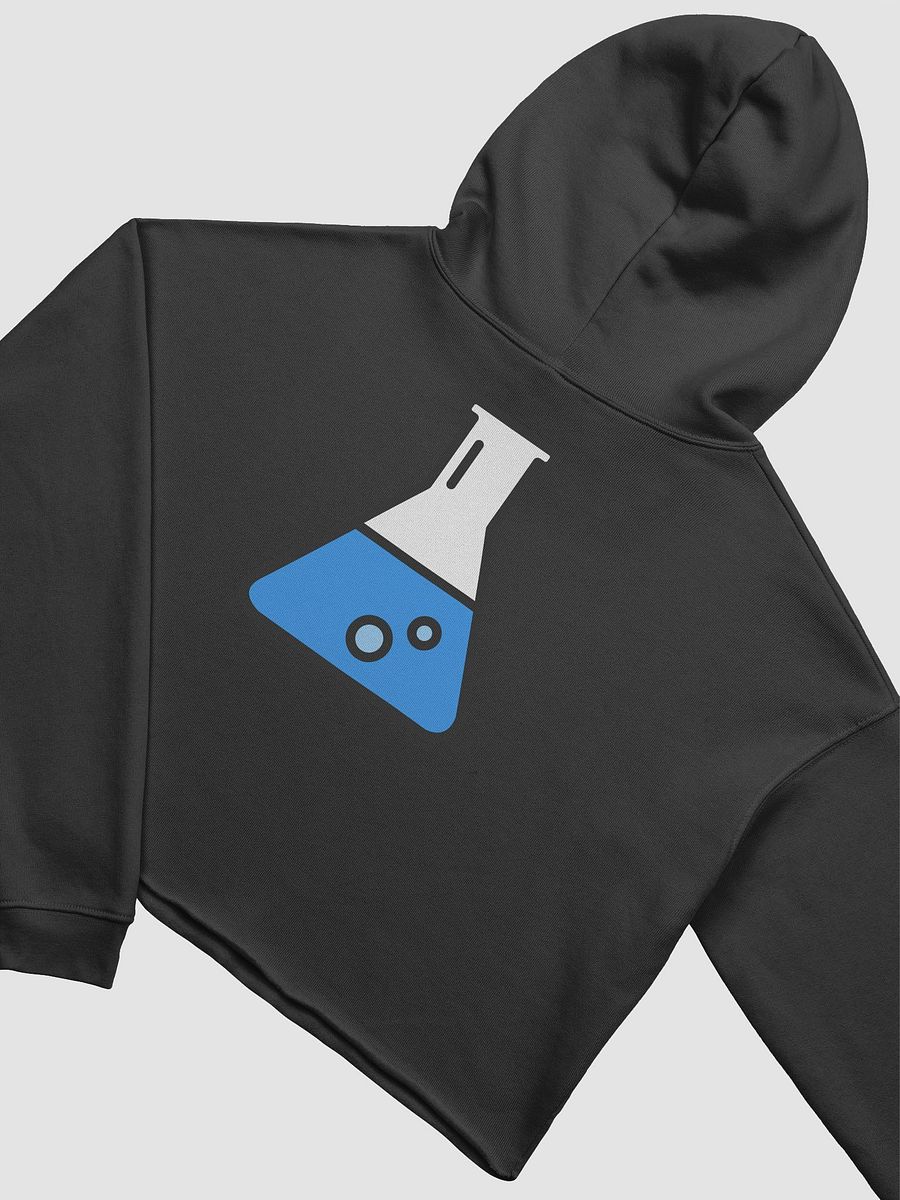 Flask Hoodie - Crop product image (15)