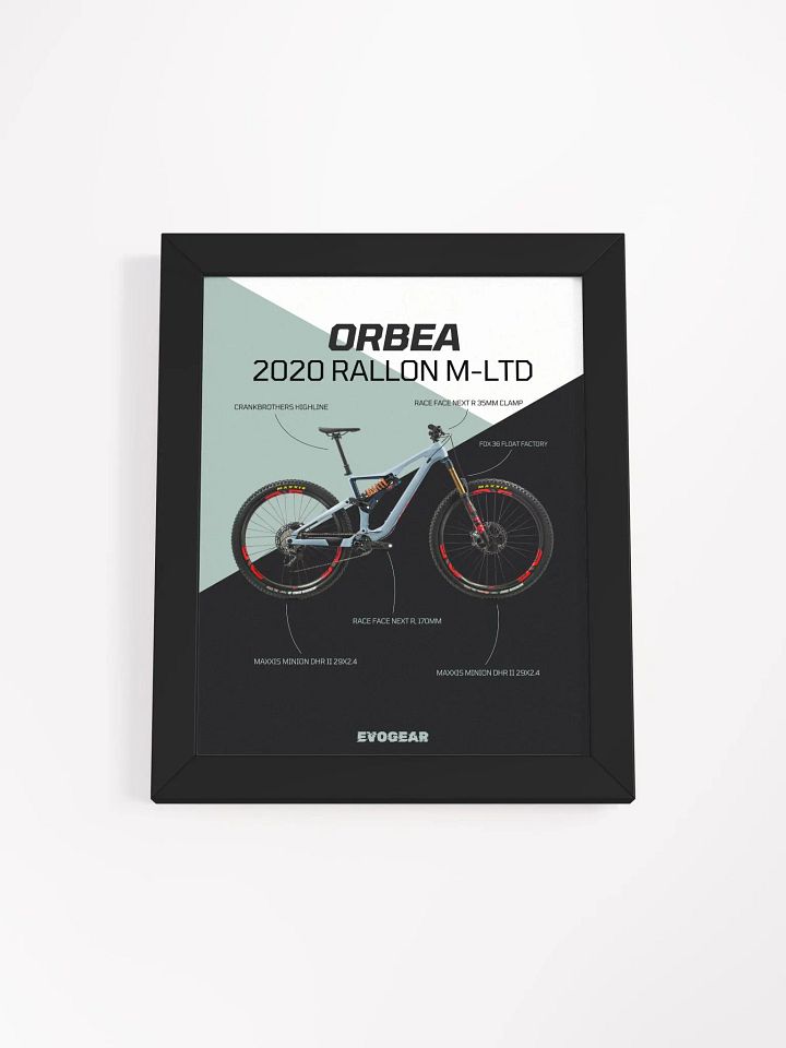 2020 Orbea Rallon M-LTD Frame product image (4)