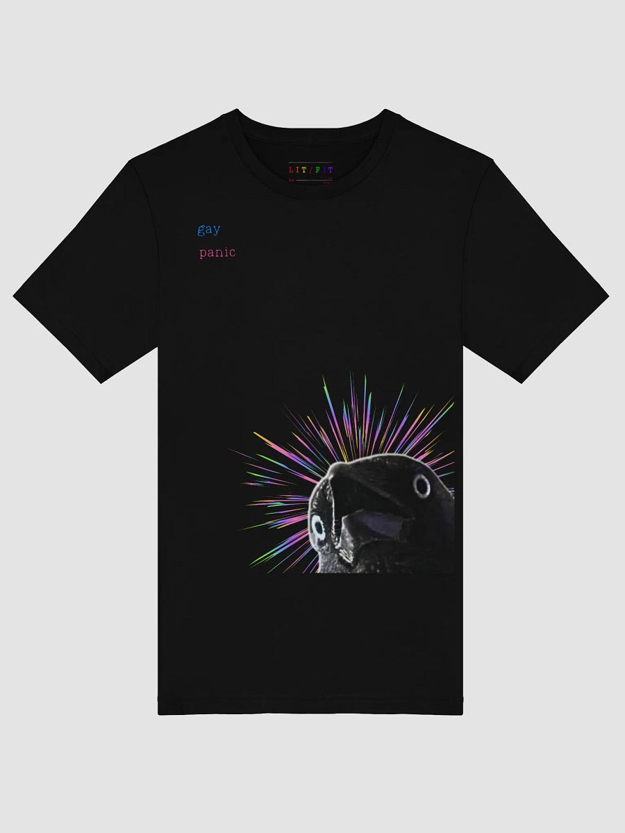 gay panic t-shirt product image (25)