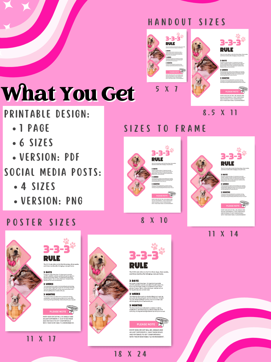 3-3-3 Rule Flyer & Posts product image (3)