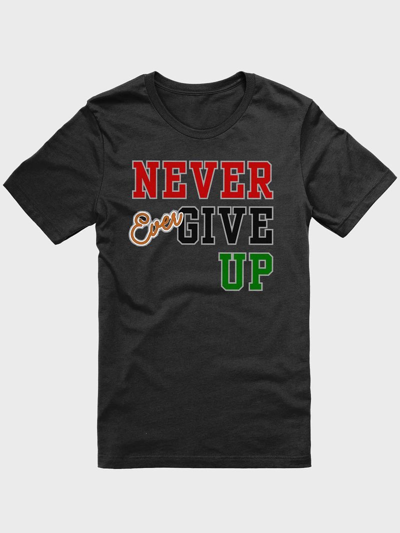 Never Ever Give Up