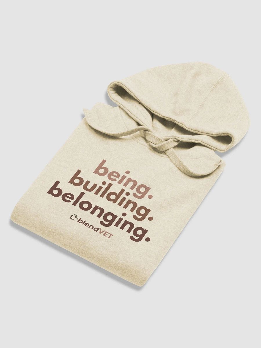 Being. Building. Belonging. Hoodie product image (6)