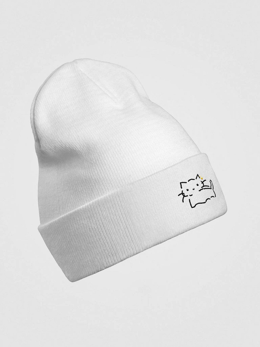 Car Beanie product image (3)
