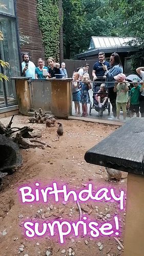 [Post 1 of 6] For my birthday this year Chris and the kids got me an up close and personal encounter with Meerkats! I love th...