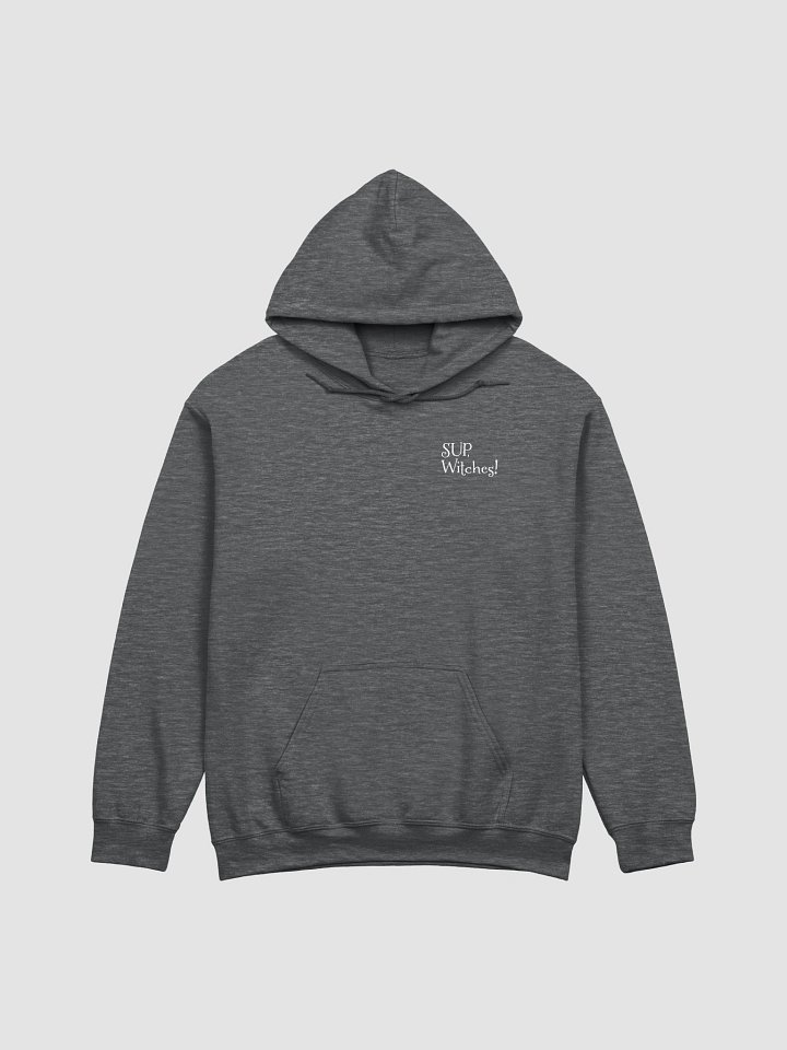 2025 Hoodie product image (2)