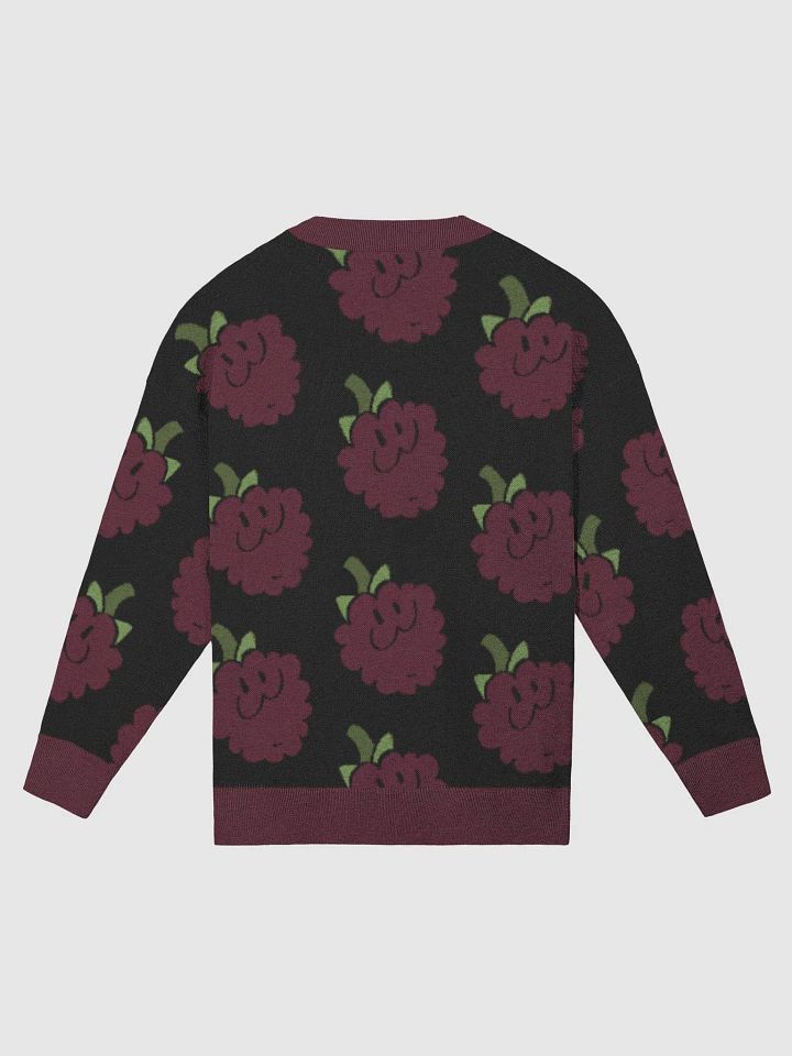 RalphBerry Knit Sweater product image (2)