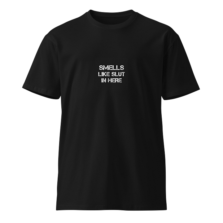 Smells like slut in here T-Shirt product image (1)