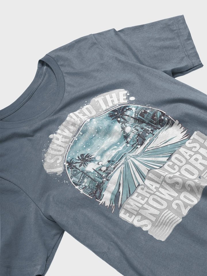 I Survived the Emerald Coast Snowstorm 2025 - Bella Canvas product image (2)