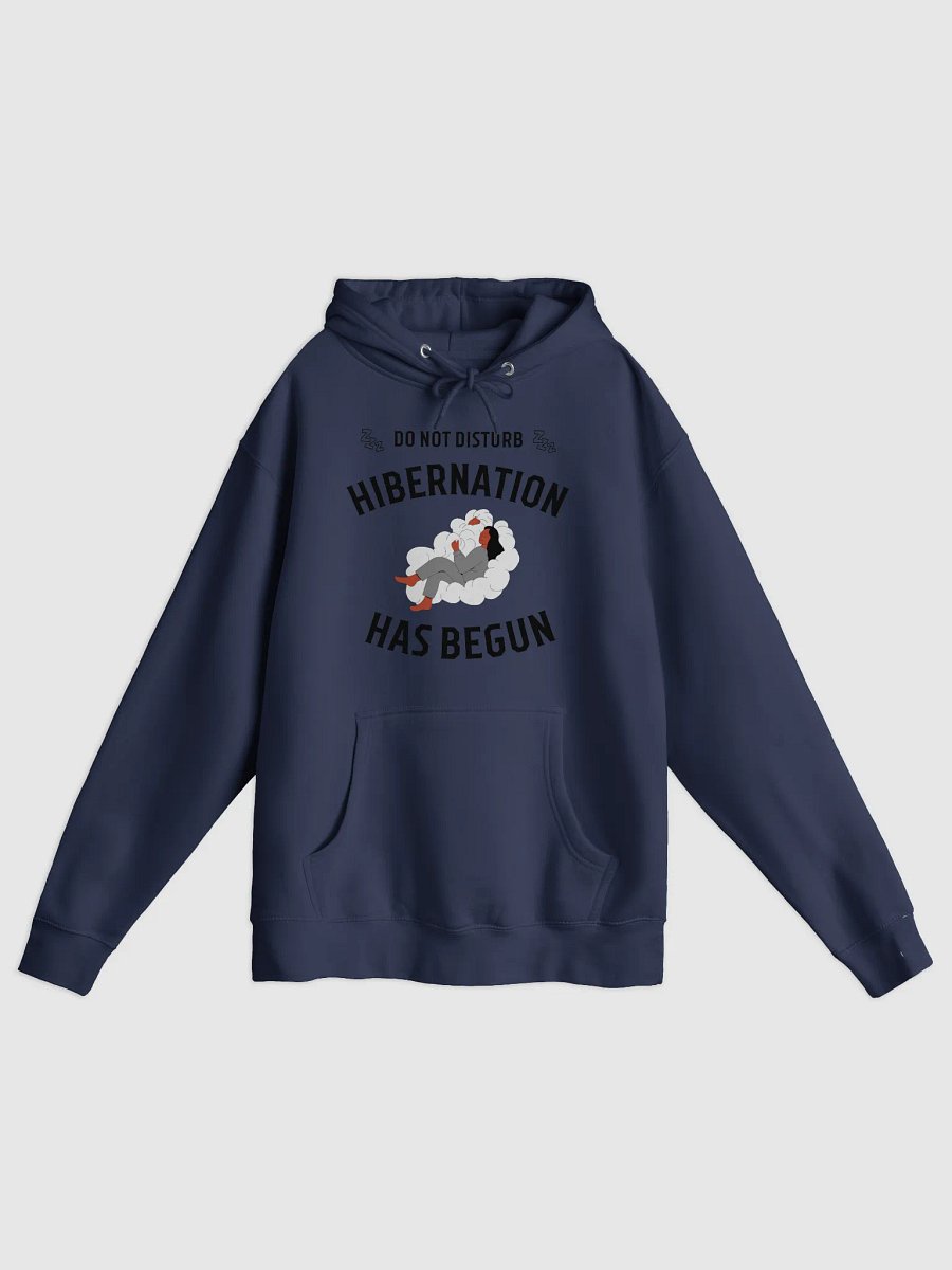 Do Not Disturb: Hibernation Has Begun Hoodie product image (1)