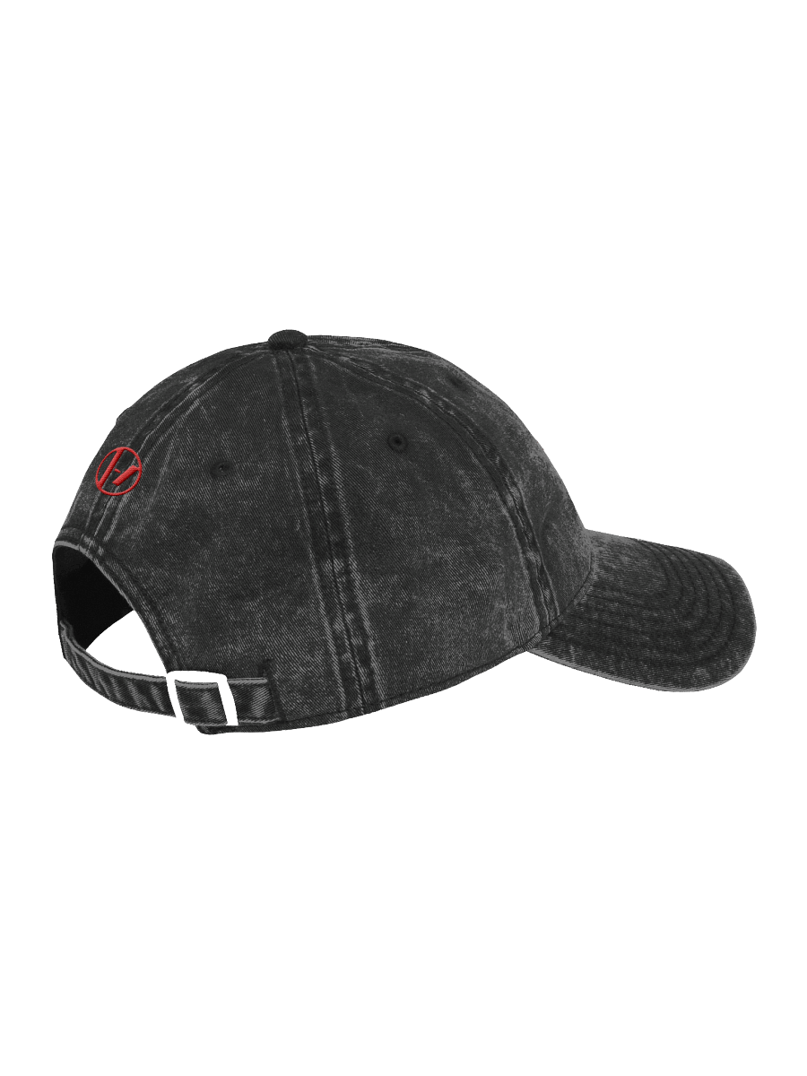 Breach Hersheypark Stadium Dad Hat product image (4)