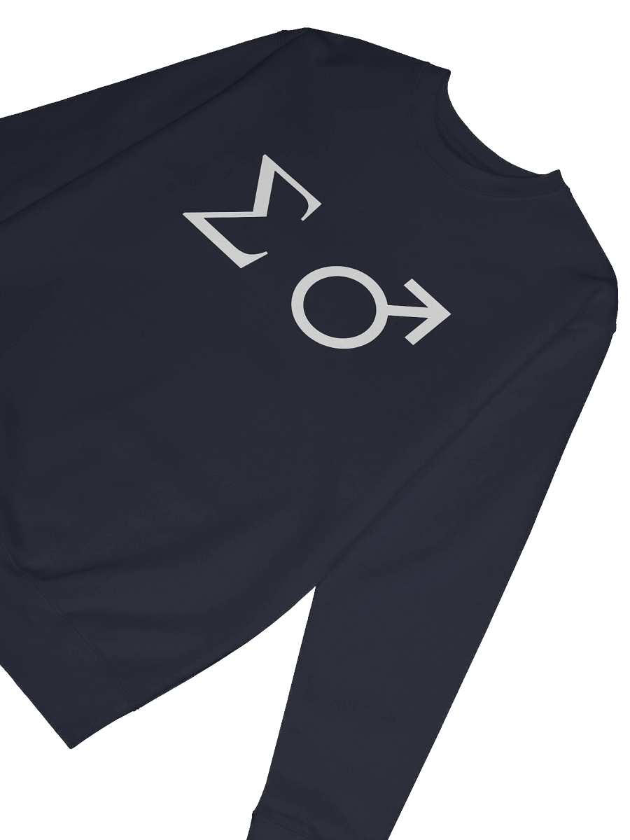 Sigma Male Sweatshirt product image (33)