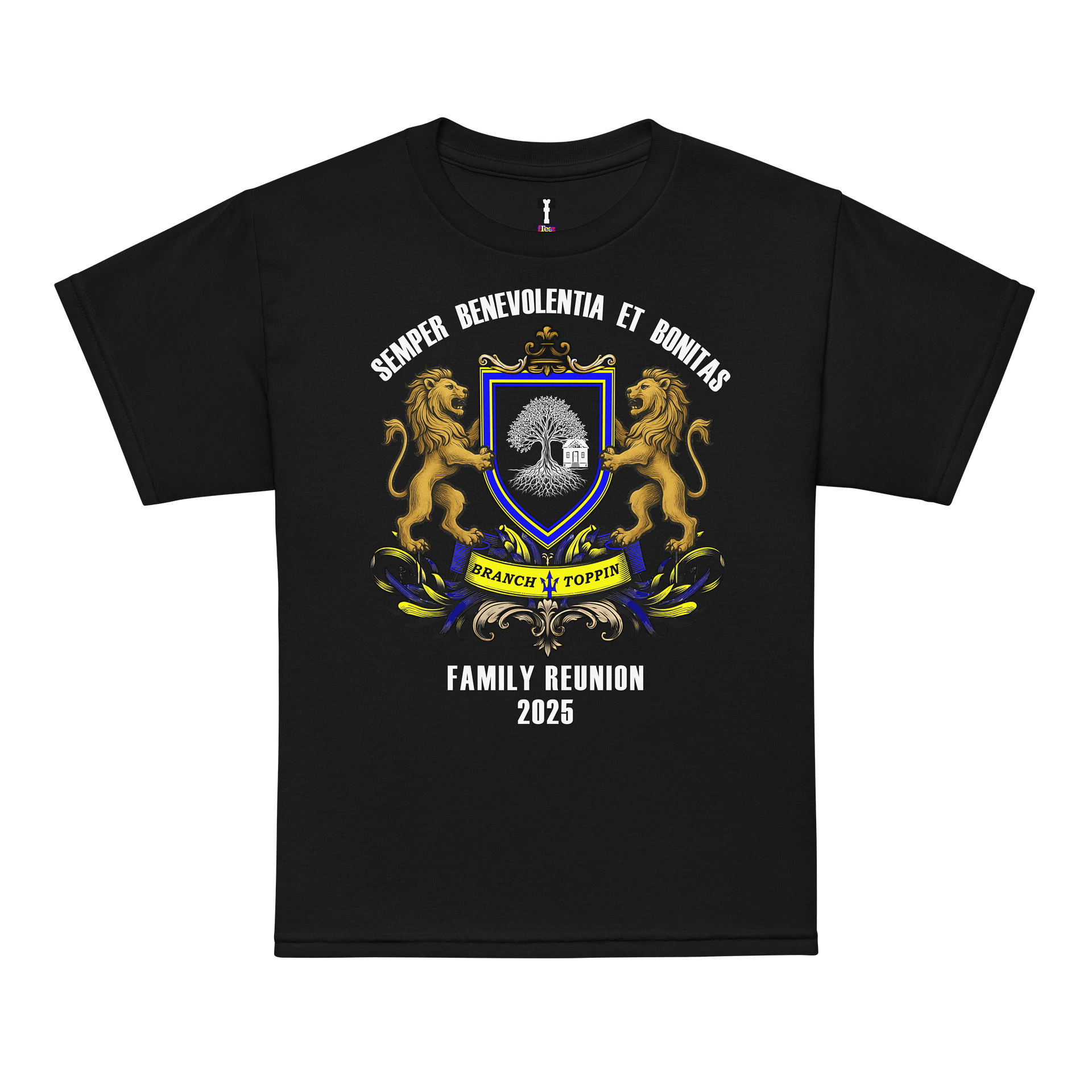 BT Reunion KIDS Tee DC product image (7)