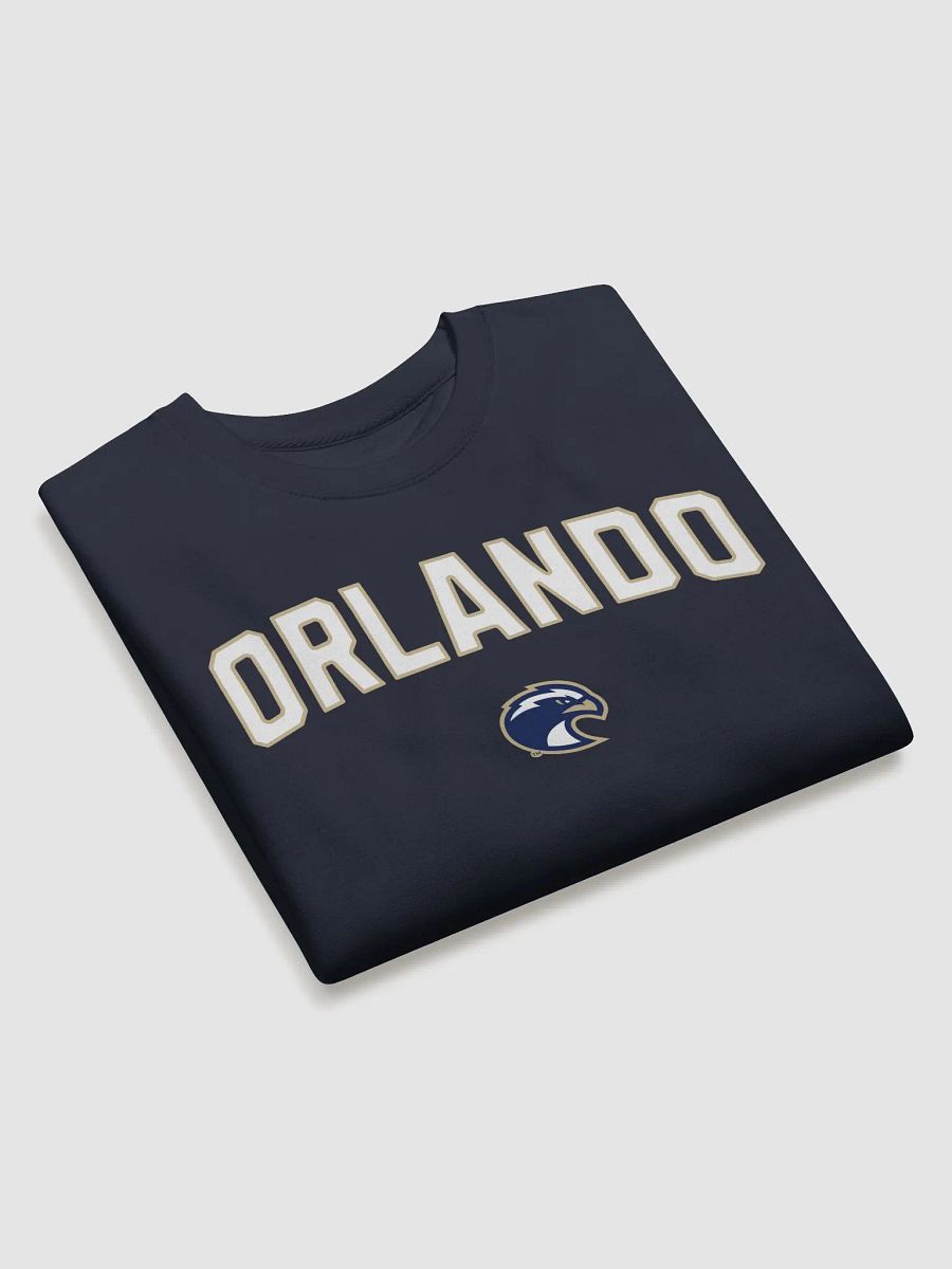 Orlando Eagle Emblem Sweatshirt product image (3)