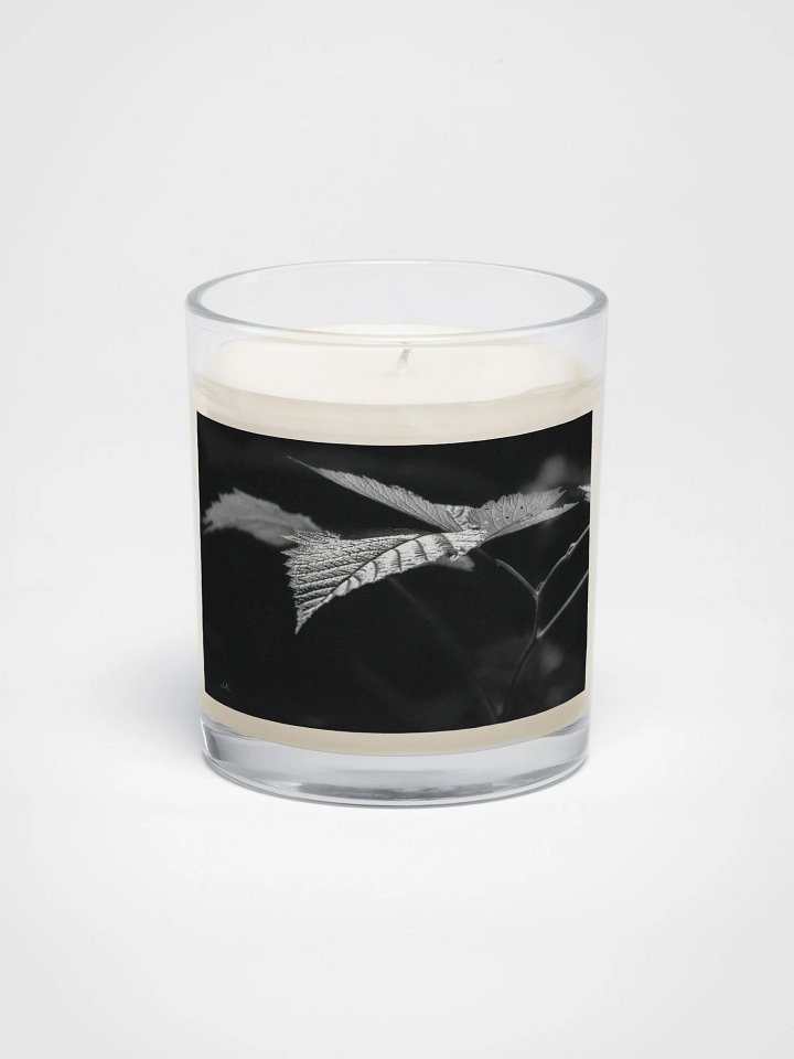 Sunlight on a Salmonberry Leaf Soy Wax Candle product image (1)
