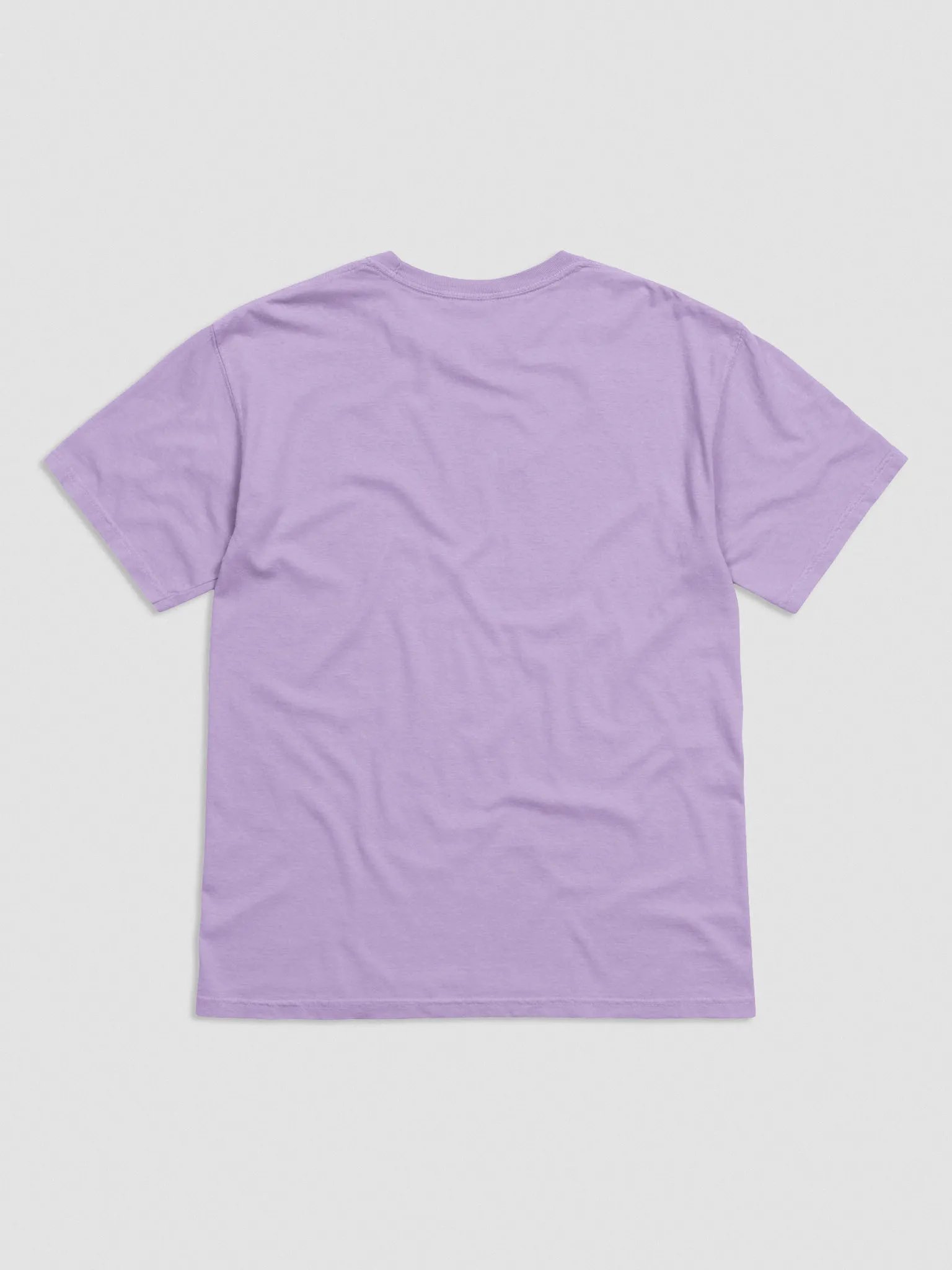 The Mushroom Embroidered t-shirt product image (4)