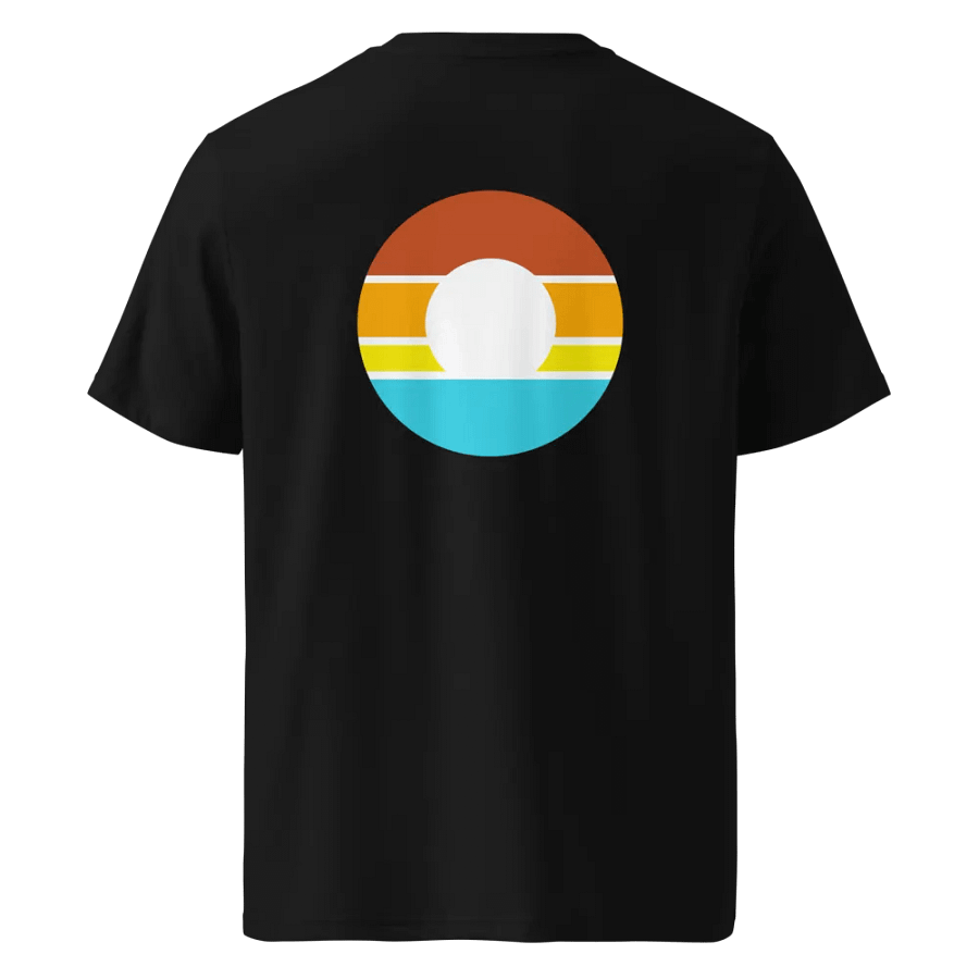 Black Organic Comfort T-Shirt product image (1)