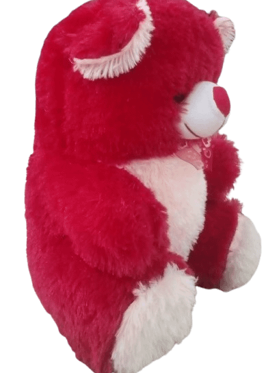 TEDDY BEAR product image (2)