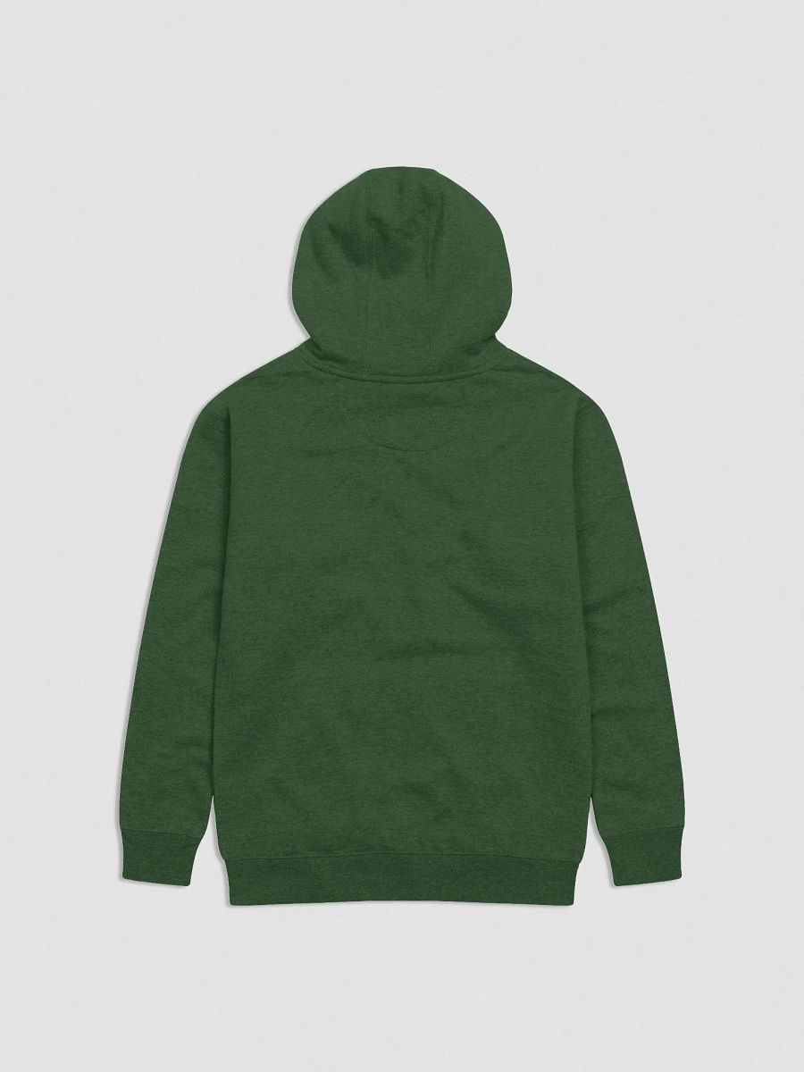 Embroided Hoodie product image (2)