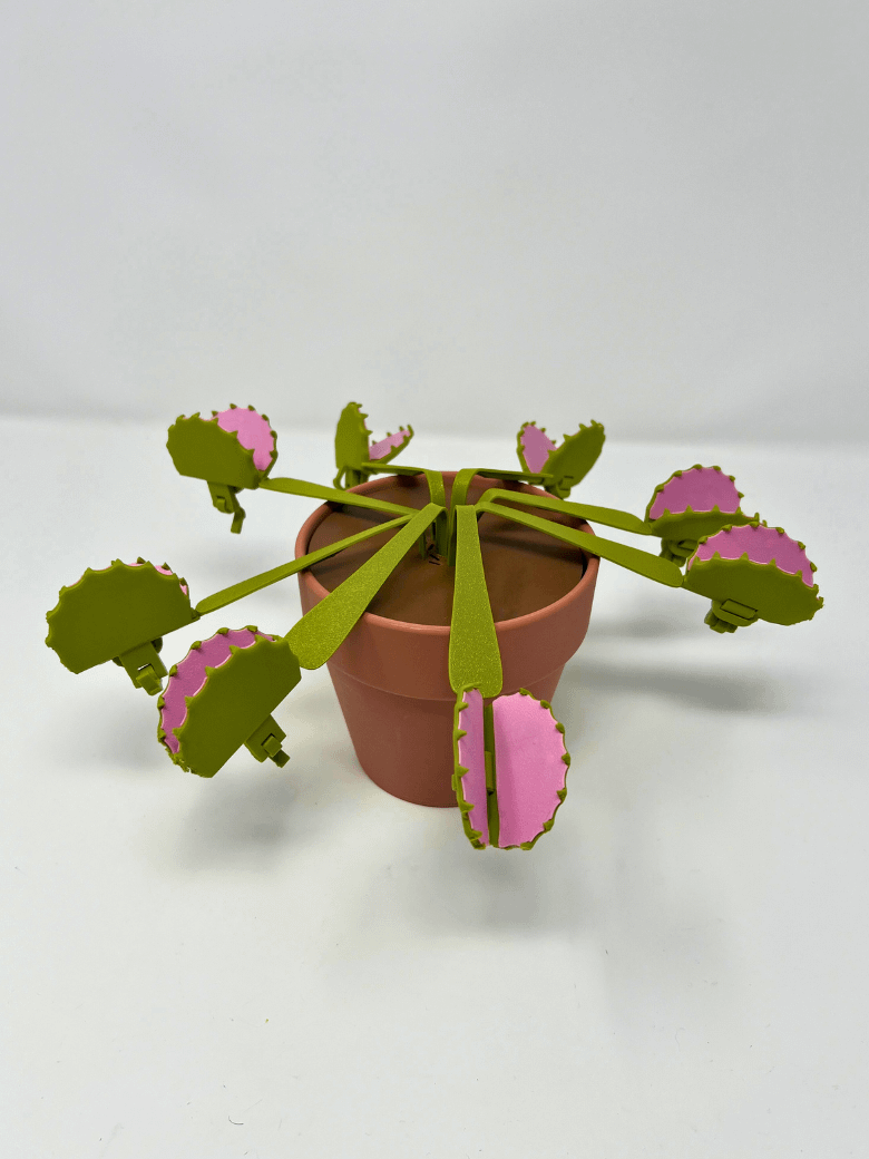Venus Snack Trap product image (2)