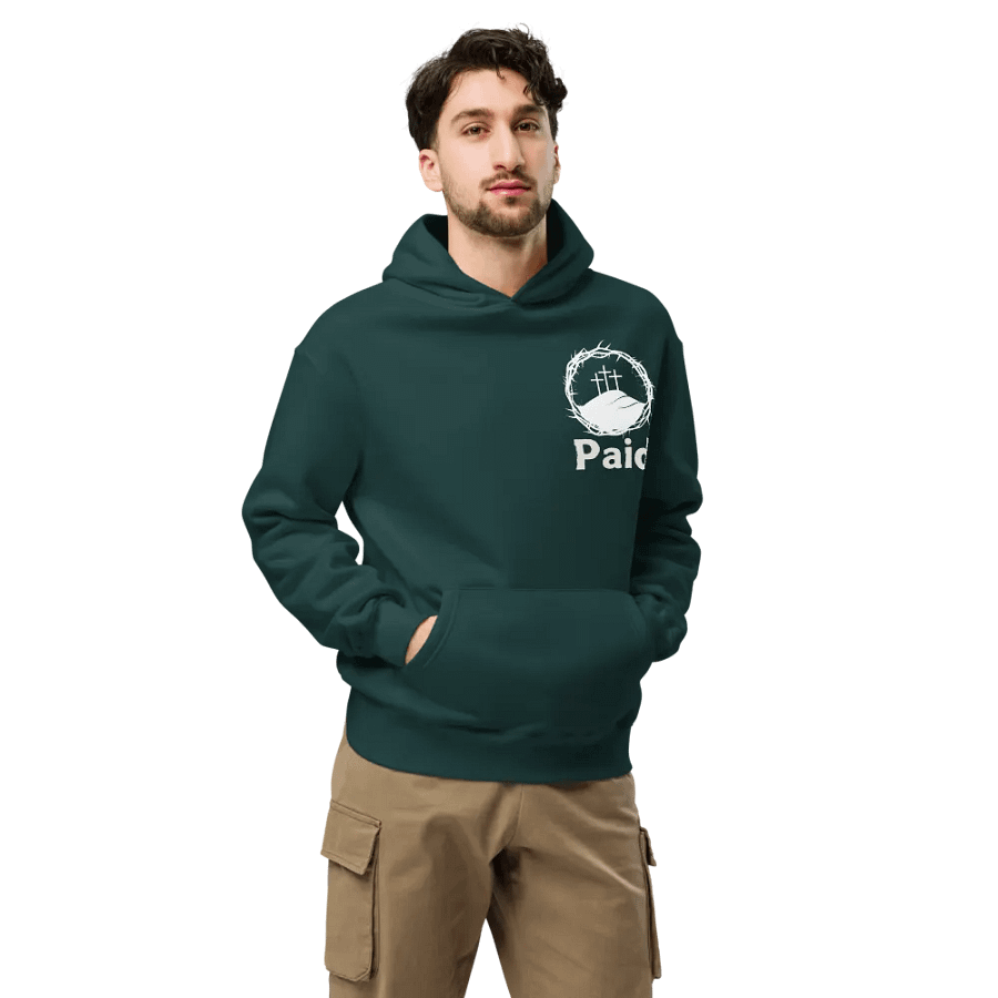 Jesus Paid It All Unisex Hoodie product image (10)