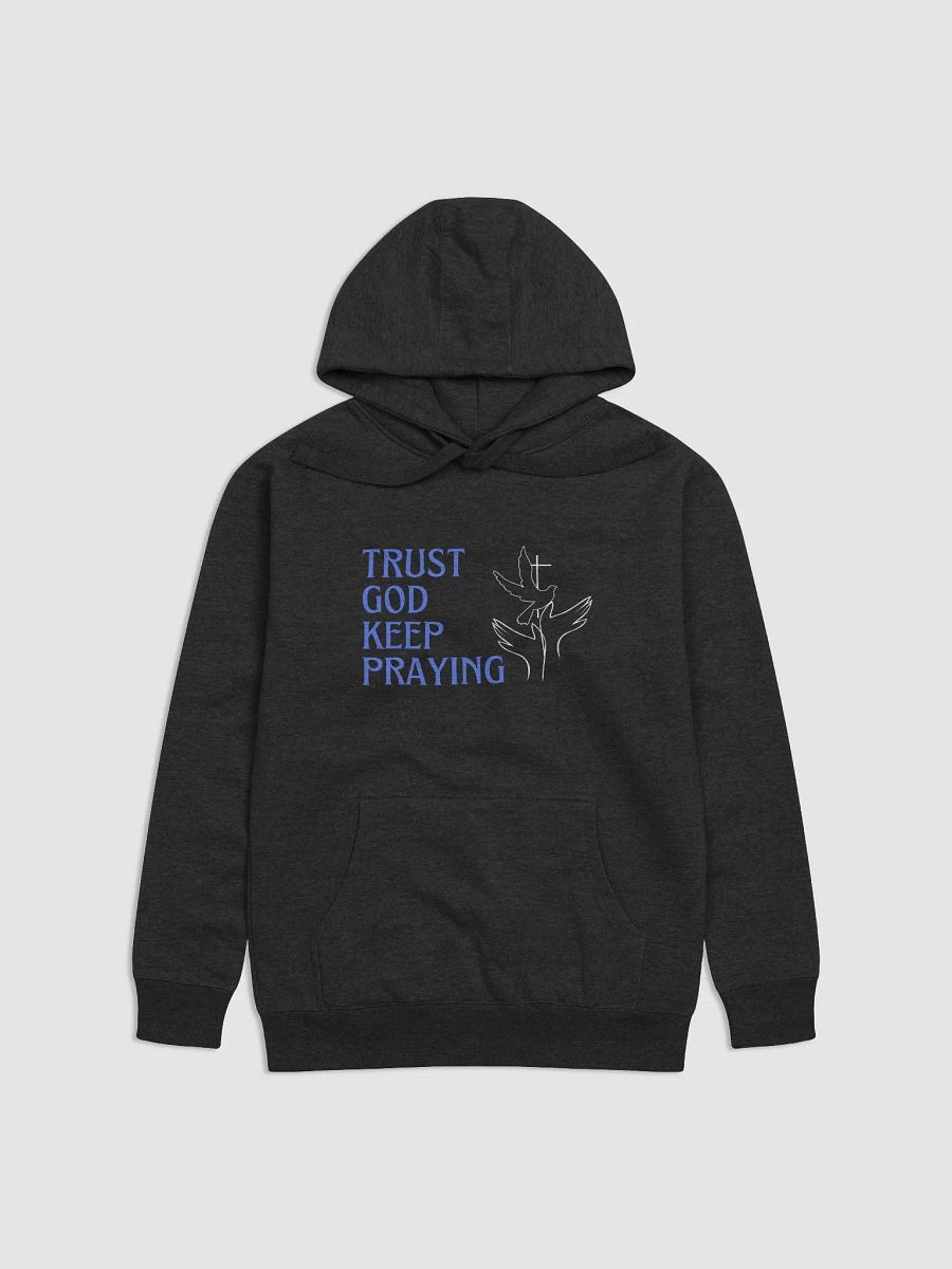 Divine Encouragement Premium Hoodie product image (2)