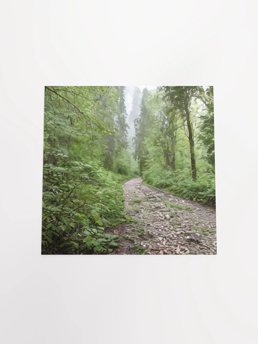 Enchanted Forest Path Poster product image (16)