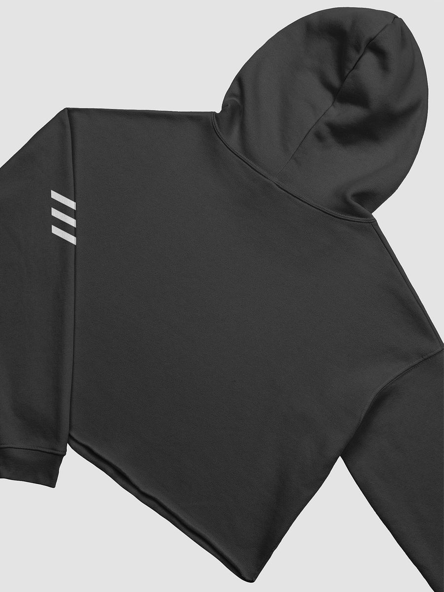 EM \\ Crop Hoodie product image (4)