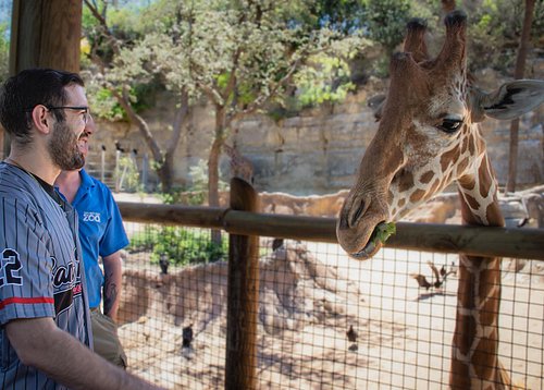 Forgot to post this. 🤚🦒🦘🦋