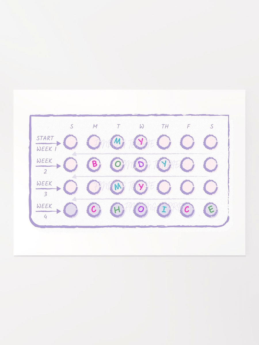 5x7 MY BODY MY CHOICE print product image (1)