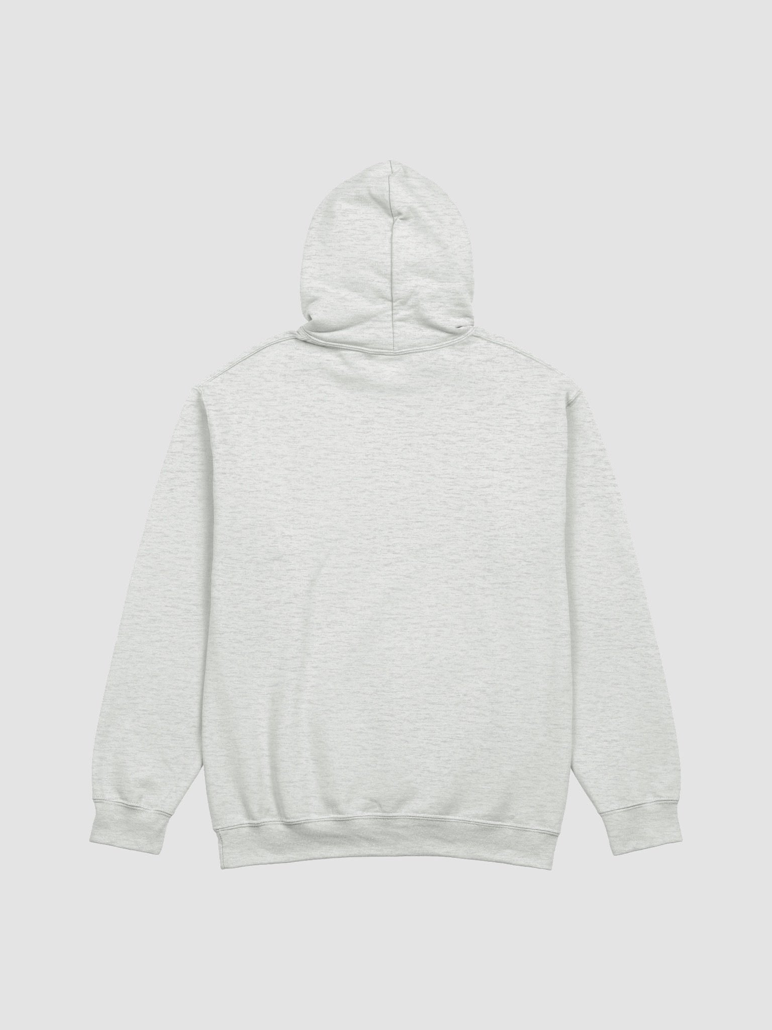 Boarding Pass Hoodie product image (18)