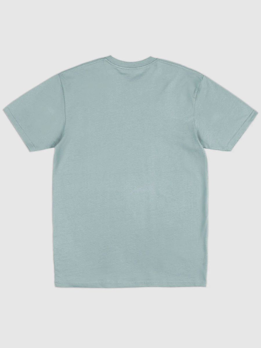 Courage & Co Phoenix T-Shirt product image (16)