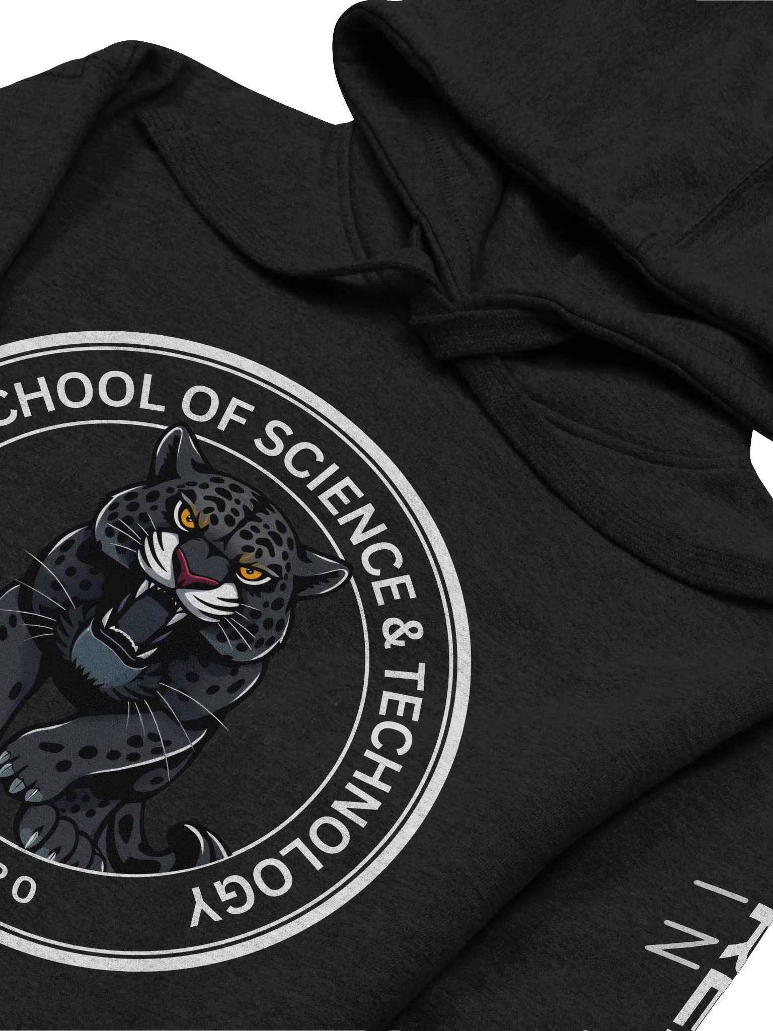 Vintage Repped School of Science & Technology Hoodie product image (3)