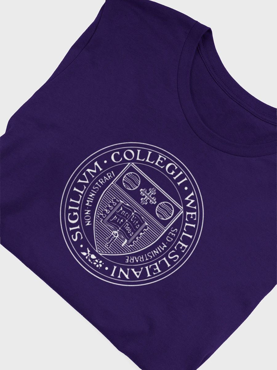 Reunion Tee with XL Wellesley College Seal product image (36)