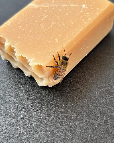 Even the bees love our soap! This bar belongs to her now. 🐝

#tacomasundaymarket #naturalsoap #goatsmilkandhoneysoap #rootand...