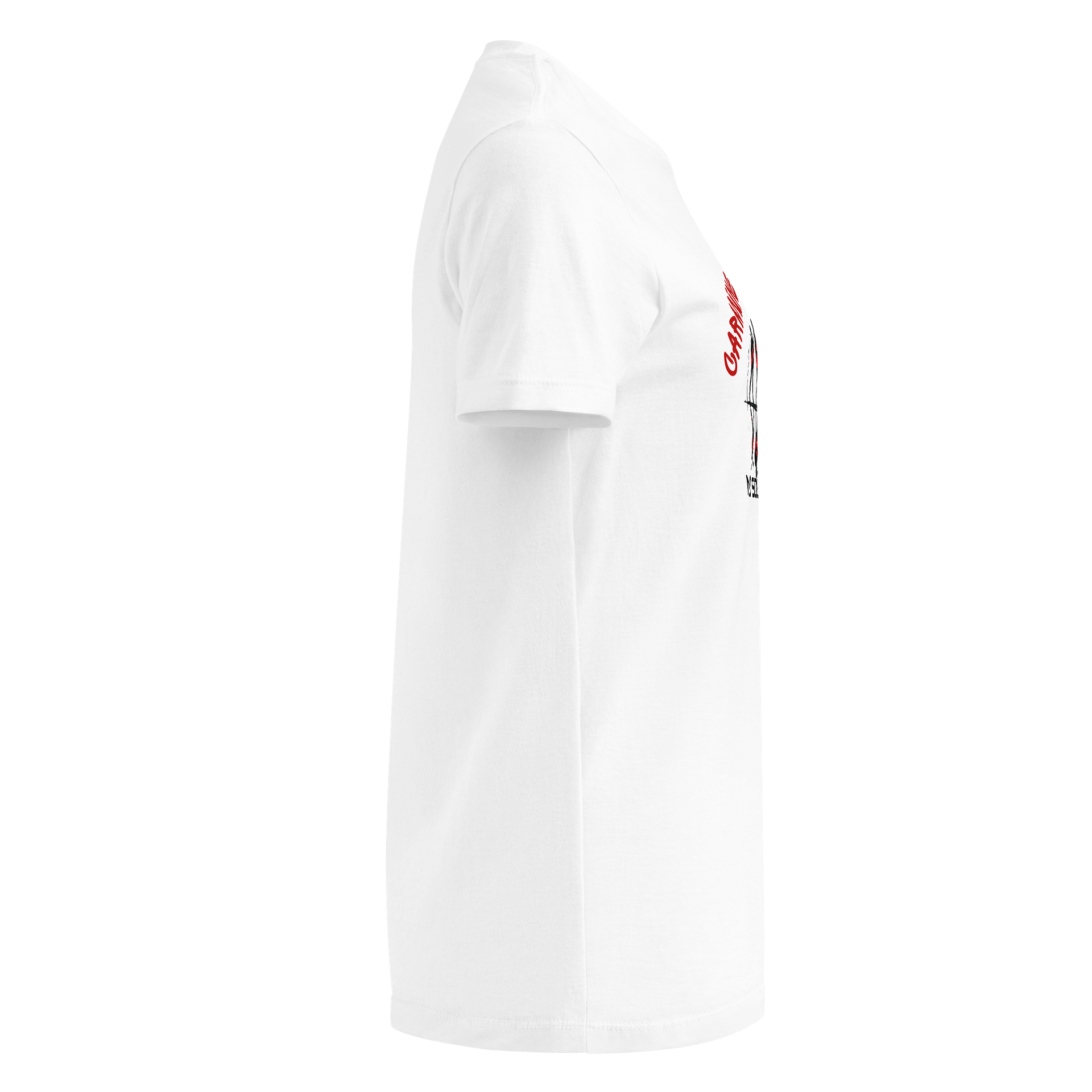 Carmine Reflection | Gildan Women's Basic Softstyle T-Shirt product image (4)