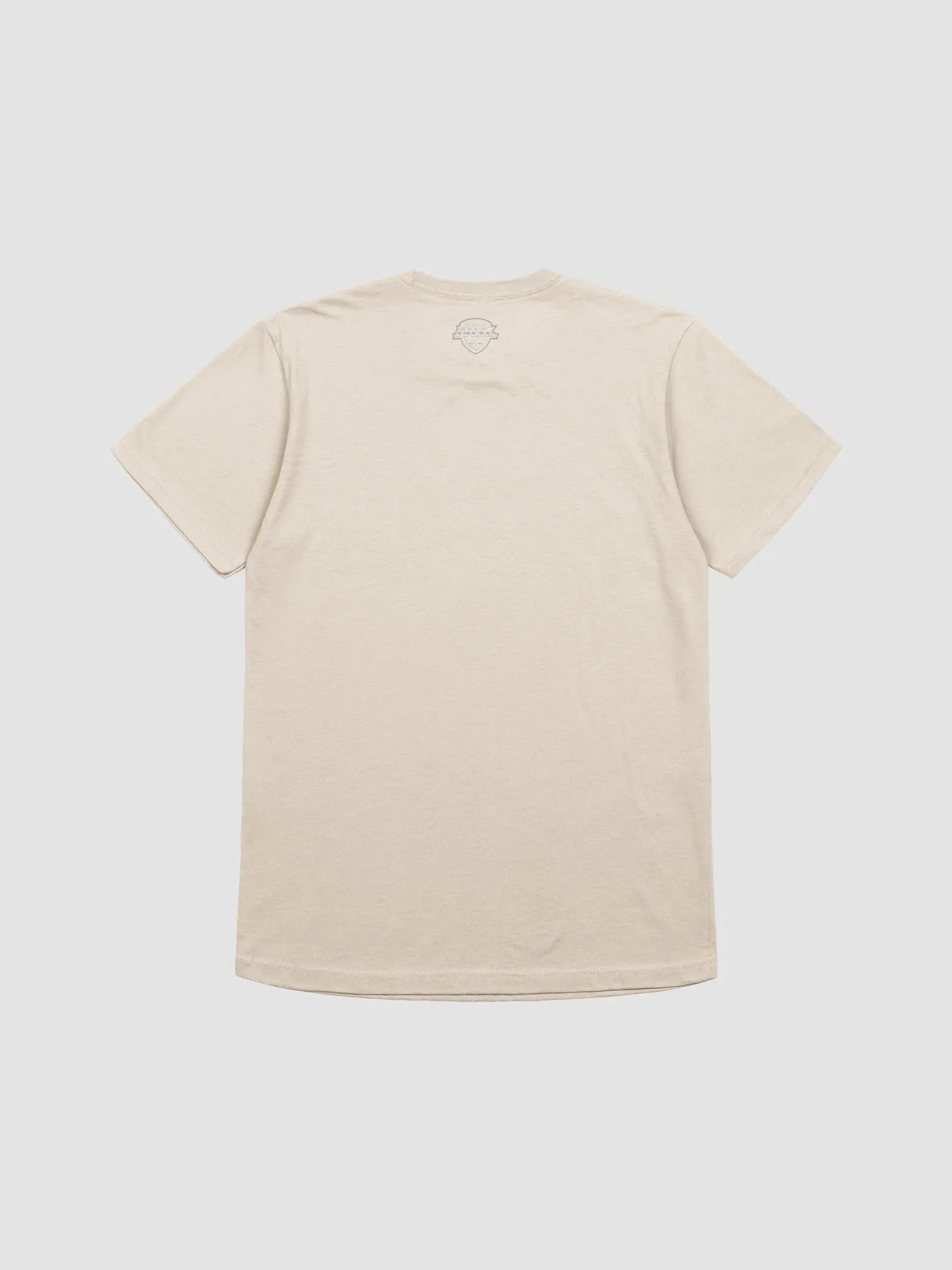 Tampa Bay Storm T-Shirt by Next Level product image (2)