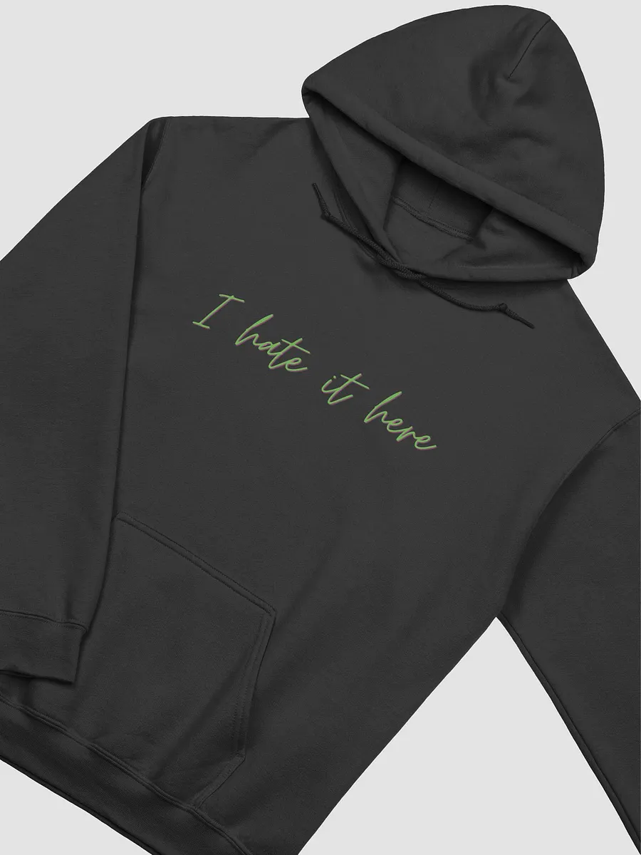 I hate 2025 it here hoodie
