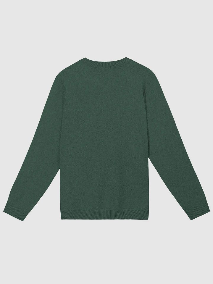 ILES YAURENT © Maglione verde alpino in cotone con motivo ricamato product image (6)