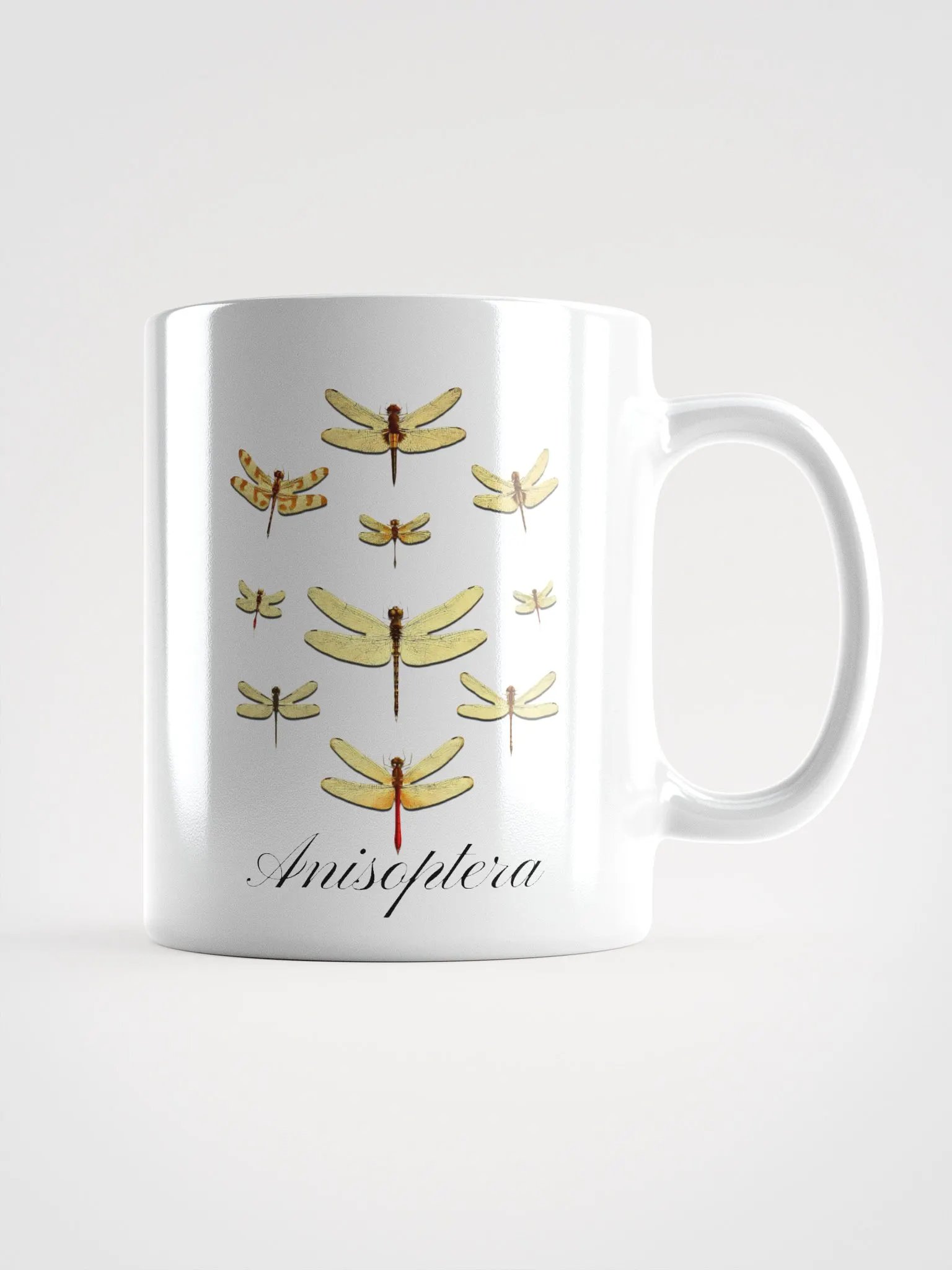 Anisoptera Elegance: Vintage Dragonfly product image (1)