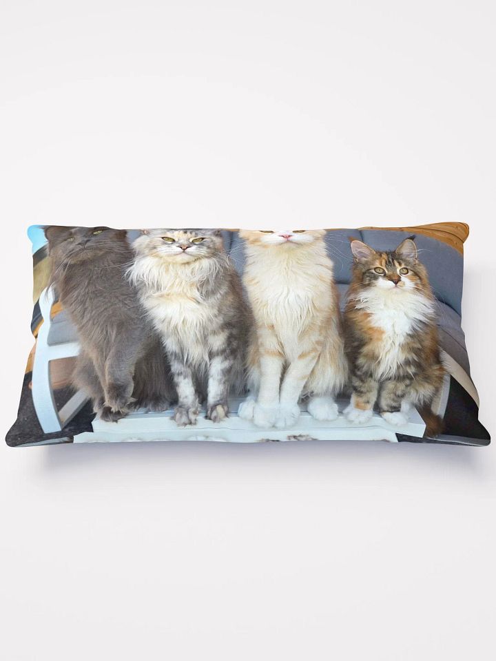 4 Generations - Pillow product image (1)