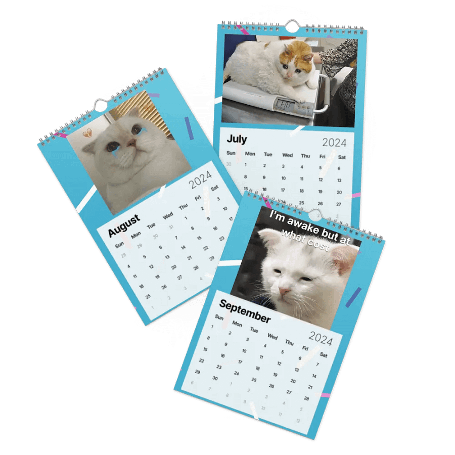 Wall Calendar (2024): Meme Cats product image (11)