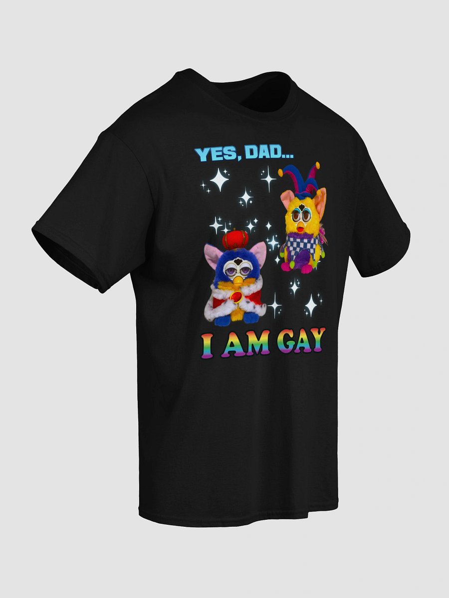 I Am Gay Unisex T-Shirt product image (13)